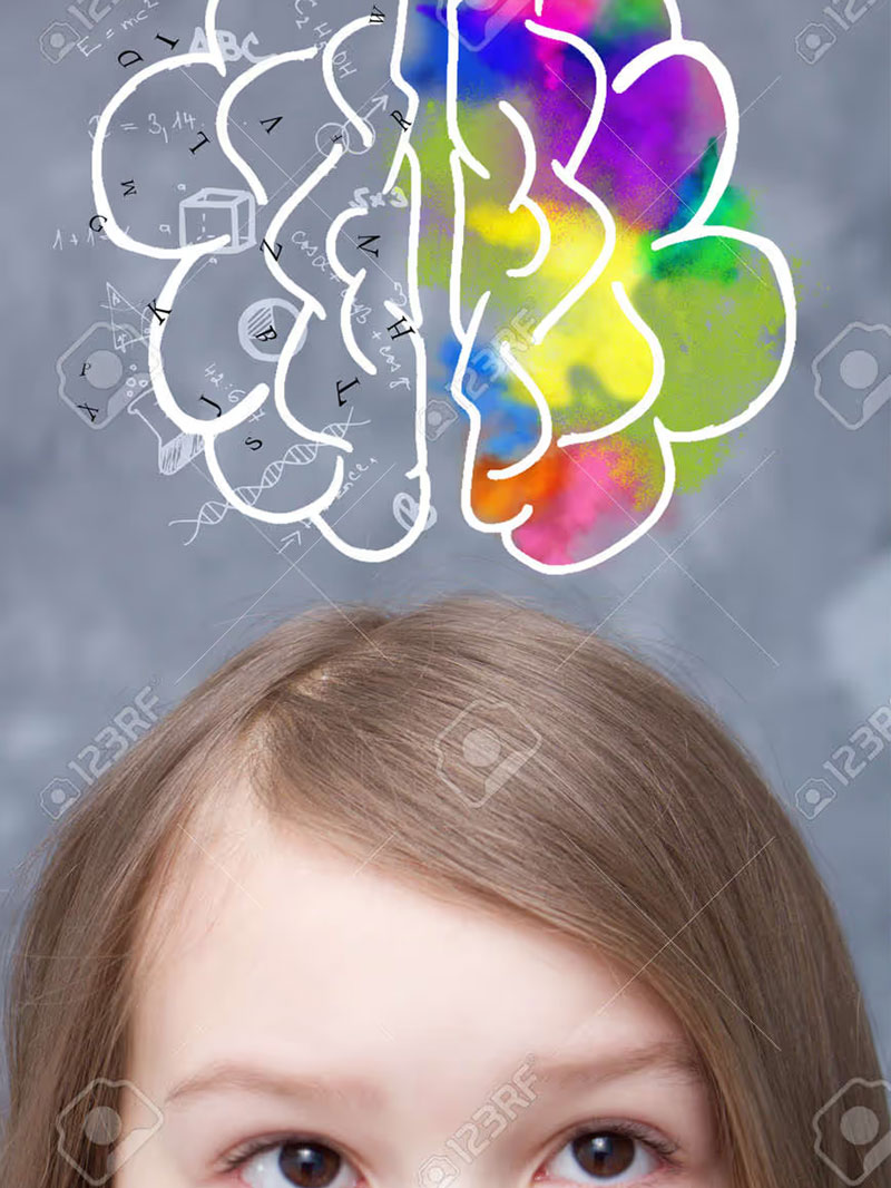 The Science of Early Childhood Development